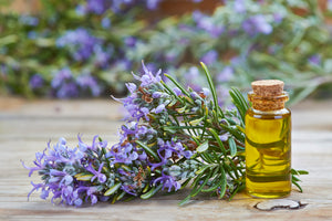 Roemary Essential Oil